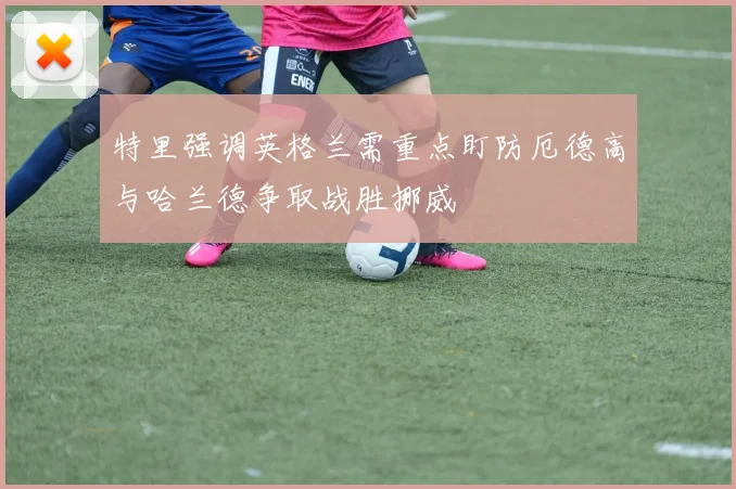 特里强调英格兰需重点盯防厄德高与哈兰德争取战胜挪威